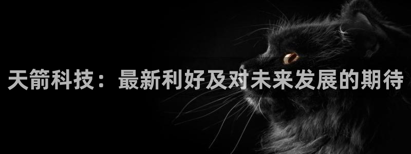 天箭科技：最新利好及对未来发展的期待