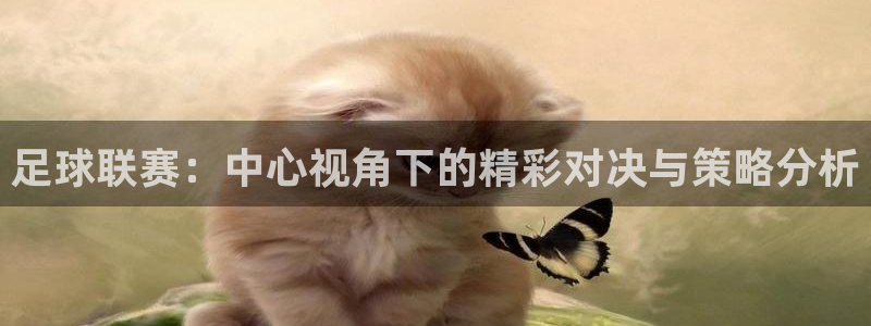 足球联赛：中心视角下的精彩对决与策略分析