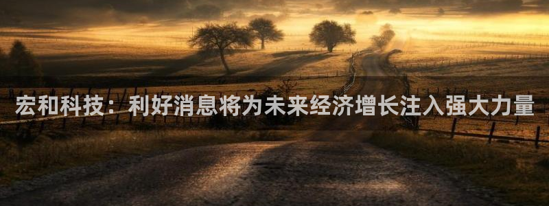 宏和科技：利好消息将为未来经济增长注入强大力量