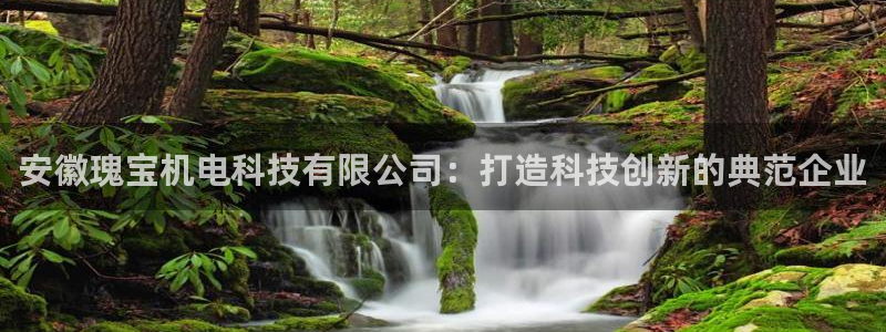 安徽瑰宝机电科技有限公司：打造科技创新的典范企业