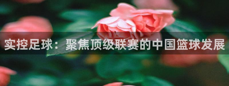 实控足球：聚焦顶级联赛的中国篮球发展