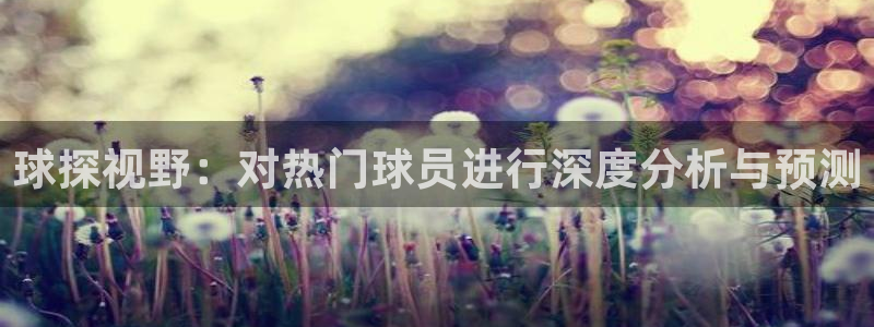 球探视野：对热门球员进行深度分析与预测