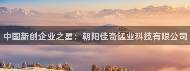 中国新创企业之星：朝阳佳奇锰业科技有限公司