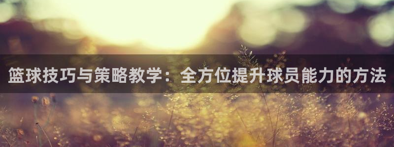 篮球技巧与策略教学：全方位提升球员能力的方法