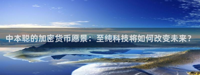 中本聪的加密货币愿景：至纯科技将如何改变未来？