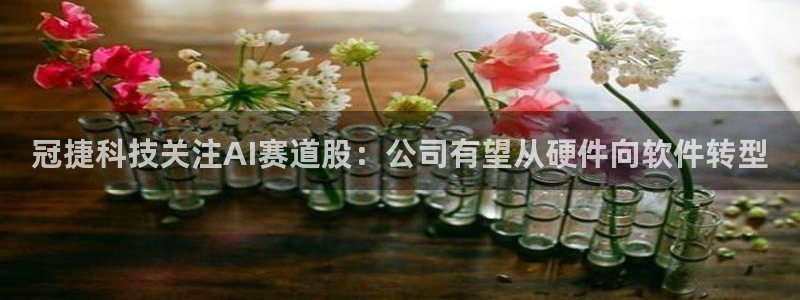冠捷科技关注AI赛道股：公司有望从硬件向软件转型
