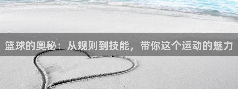 篮球的奥秘：从规则到技能，带你这个运动的魅力