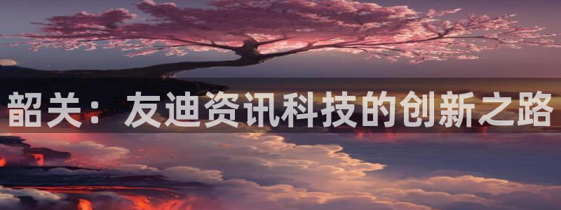 韶关：友迪资讯科技的创新之路