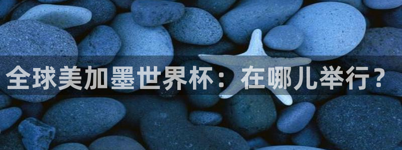 全球美加墨世界杯：在哪儿举行？