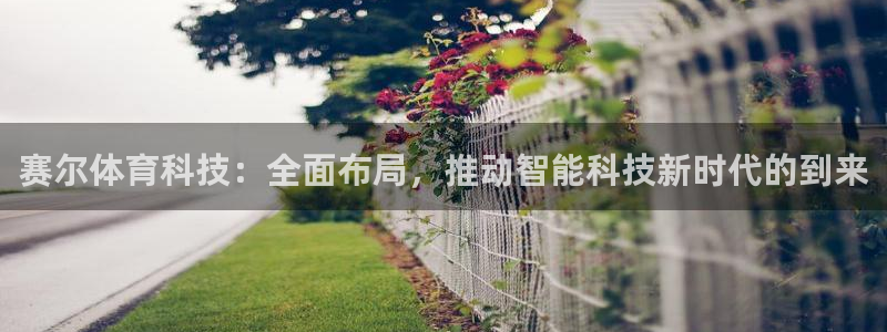 赛尔体育科技：全面布局，推动智能科技新时代的到来